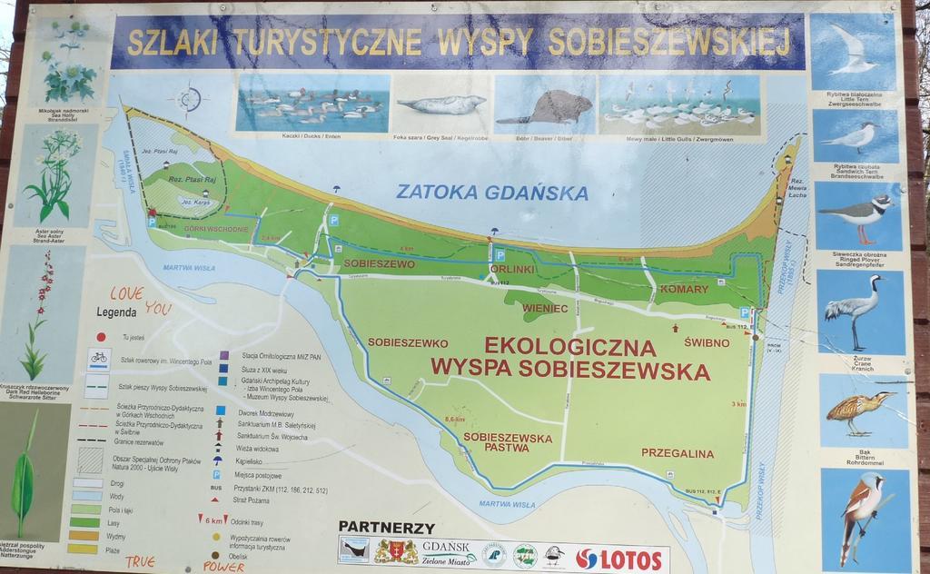 Villa Arkodes Gdansk Luaran gambar