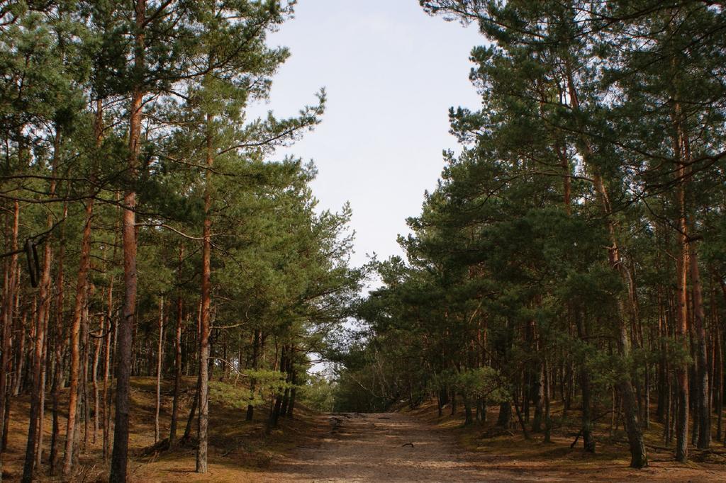 Villa Arkodes Gdansk Luaran gambar
